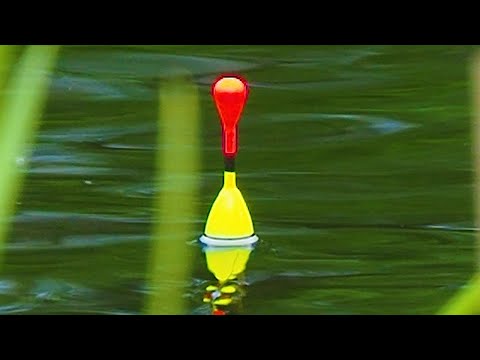 КАК ПОЙМАТЬ КРУПНОГО КАРАСЯ? Рыбалка на поплавок! Летняя мормышка на карася!