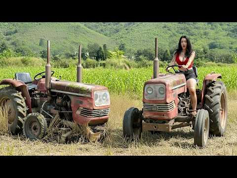 Full Restoration: Genius Girl Completes Gearbox Repair on an Old Farm Tractor – Will It Run?