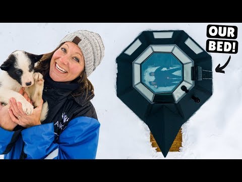World's ONLY Glass TeePee & BABY HUSKIES (tears of joy)