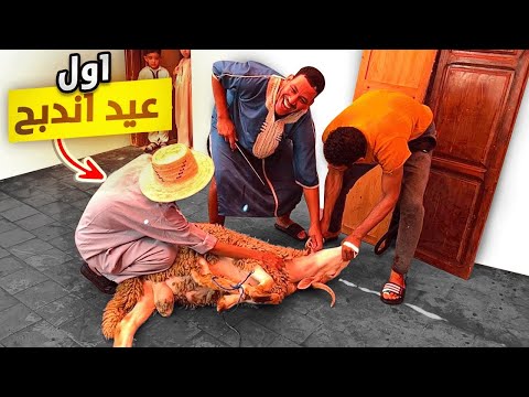 أخيرا أجواء عيد الأضحى في المغرب 🇲🇦 أول مرة نزعم ندبح فحياتي😍شوفو شنو وقع ‼️🥹