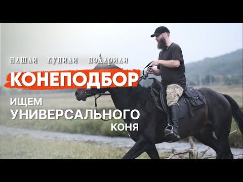 Нашли и купили коня на Кавказе | Долгожданный подбор + подарок