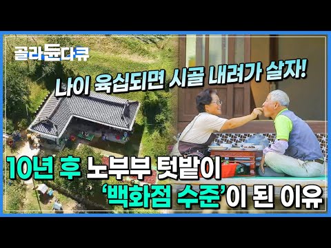 3000여평 100여가지의 농작물 ‘백화점 수준’의 텃밭을 가꾸는 노부부│농사를 위해 컴퓨터, 드론 다 배웠다│한국기행│#골라듄다큐