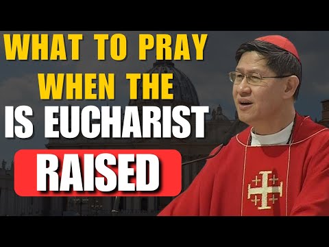 Do THIS When the Eucharist Is Lifted — Cardinal Tagle’s Hidden Teaching That Changes Everything