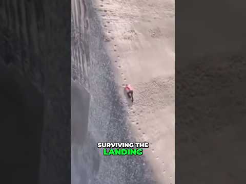 Surviving the Fall: The Hard Part! 😮