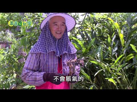 【屏東長治】全台首位土肉桂產銷認證 顏金珠推廣土肉桂產品 | 有機無毒 | 274 | #美麗心台灣