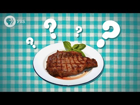 Should You Let Meat Rest? | Serving Up Science