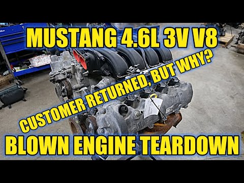 Mustang GT 3V 4.6 Teardown! Not A Normal 3V Failure But Something That'll Kill ANY Engine!