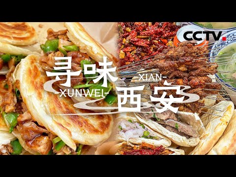 水盆羊肉 肉丸胡辣汤 陕味白菜 跟着本地人去吃真正西安味道 开启你的“陕菜”之旅——寻味西安【CCTV纪录】