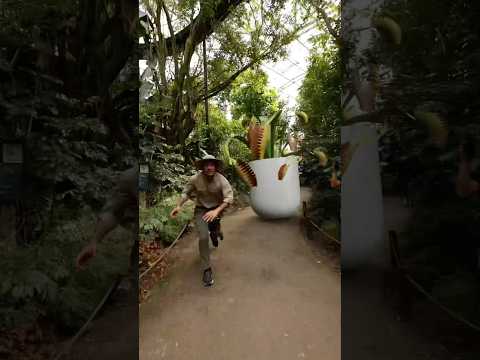 I'm sure they're fine 😅🌱