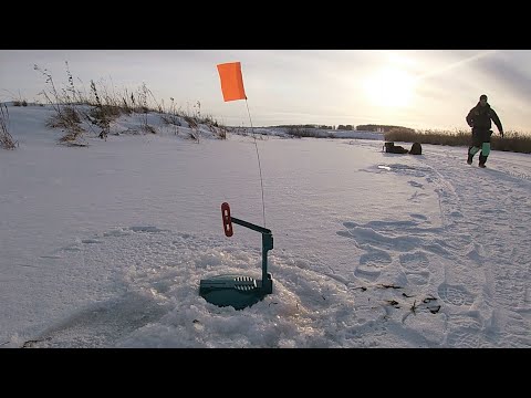 ЖЕРЛИЦЫ 2023 СТРЕЛЯЮТ ОЧЕРЕДЬЮ!!! Ловля ЩУКИ на жерлицы с подписчицей. Ловля плотвы на безмотылку