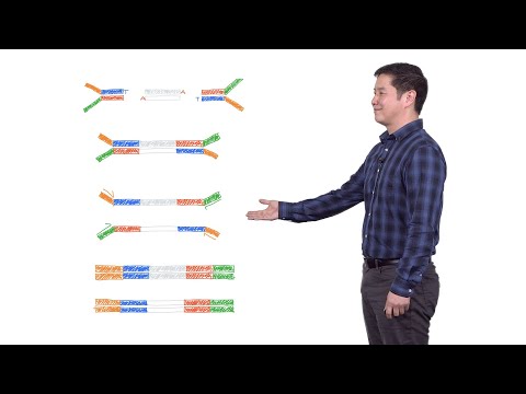 Next Generation Sequencing 2: Illumina NGS Sample Preparation - Eric Chow (UCSF)