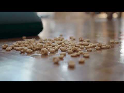 Meet with moprobo M2 Turbo