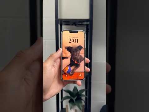 The iPhone 13 In 2025 Is AMAZING!