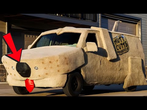 22 Weird Facts About 1994 Mutt Cutts Van (Dumb & Dumber)