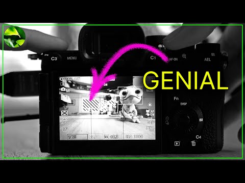 Sony Kamera Menü: 5 WICHTIGE Tricks die du kennen solltest!