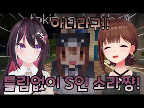 [홀로라이브] 누가 S인가 [AZKi·아즈키/토키노 소라/사쿠라 미코/오오조라 스바루/시로가네 노엘/유키하나 라미]