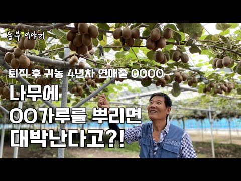 60대에 대학 입학해 4,000평 국산키위, 돈이 다가 아닌 행복한 농부님