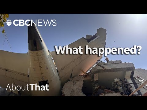 What caused Air India flight 171 to crash immediately after takeoff? | About That