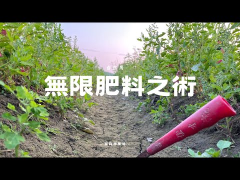 無限肥料之術！自然農法的關鍵：讓土地自己養地，無農藥、無肥料也能豐收！