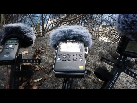 Zoom H1N vs Zoom H2N vs Sony PCM-D100 Audio recorders