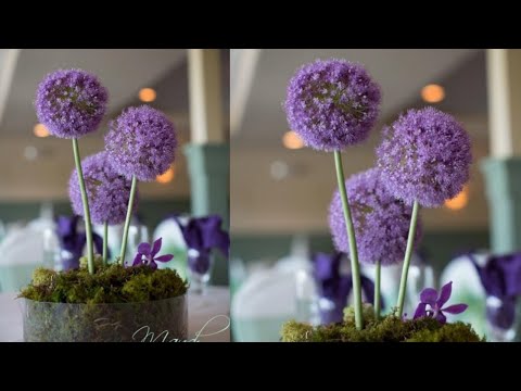 Only 1 sheets Foamiran for make to Flowers | DIY Foamiran Flowers | Foam Flowers