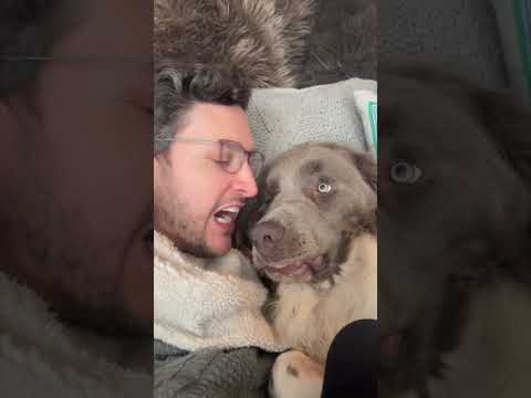 After The Hospital Shift With Rib