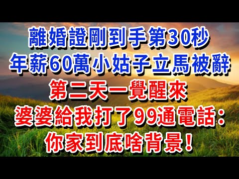 離婚證剛到手第30秒，年薪60萬的小姑子立馬被辭，第二天一覺醒來，發現婆婆給我打了99通電話：你家到底啥背景！#書婷講故事 #為人處世#生活經驗#情感故事#晚年哲理#說故事#完結文
