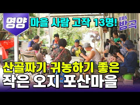 [경북 영양] 고향이 그리워 다시 귀농했다, 산골짜기 오지마을로! | 마을 사람 단 13명 작은 오지 포산마을 | 한국기행 | #방방곡곡