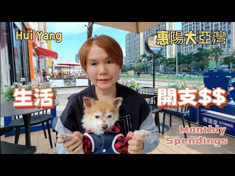 139.［惠州 陽惠］大亞灣每個月生活開支｜固定開支 水電費 上網 飲食 娛樂 運動 私家車 | 狗拍檔 影片中亮相｜Hui Yang, Monthly Spendings