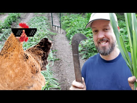 6 Steps to DRASTICALLY IMPROVE A Garden Bed