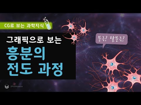 [장풍과학] 흥분의 전도과정