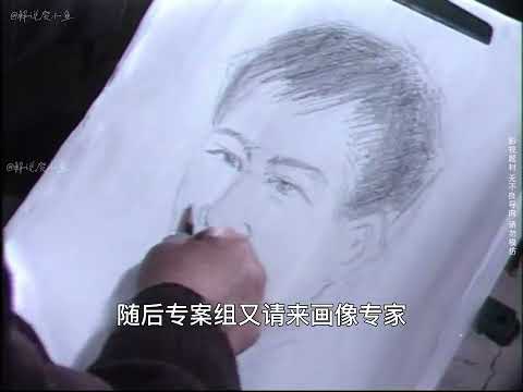 周口银行劫案，康氏兄弟落网记，完整版60分钟精彩解析，犯罪片