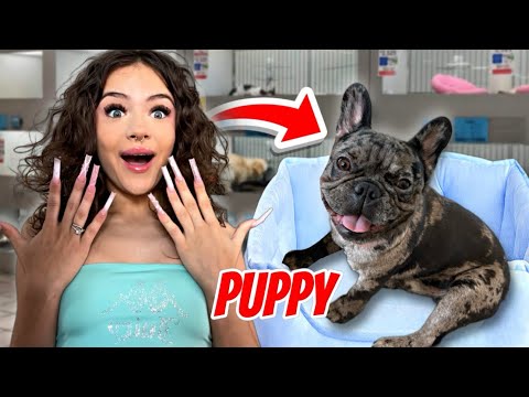 ADOPTING A PUPPY!!