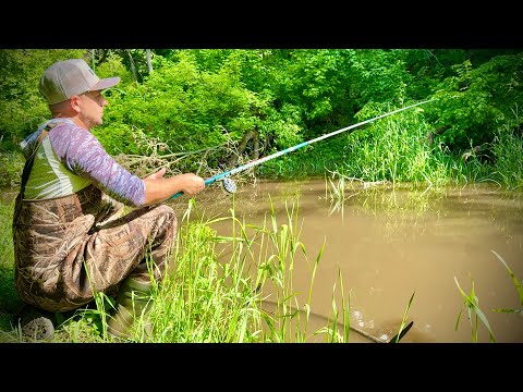 Рибалка на МІКРО-РІЧЦІ!!! Це просто КАЗКА!!!