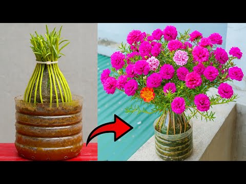 Beautiful Mossrose Flower Bun Using Recycled Plastic Bottles