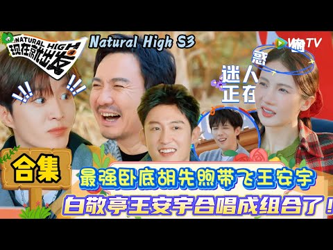【现在就出发 第3季】EP3游戏特辑：白敬亭抽象跳舞被试探锐评爆笑名场面！| Natural High S3#现在就出发3#综艺#沈腾#范丞丞#王安宇#贾冰#黄景瑜#金晨