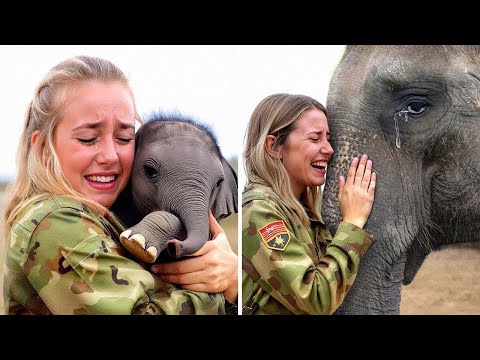 Wie Tiere reagierten, als sie ihren Menschen wiedersahen!