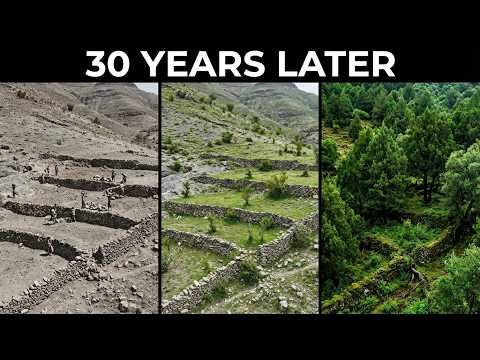 How Ethiopia Is Restoring Entire Forests Without Planting Trees With Simple Ecological Systems