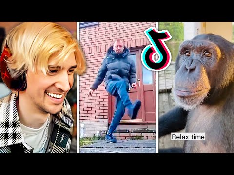xQc LAUGHS OUT LOUD at TikTok Memes for 41 Minutes