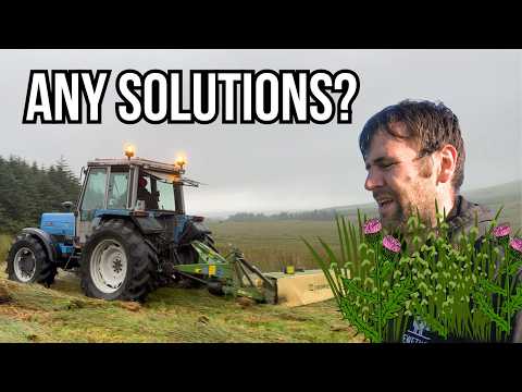 WEED CONTROL IN ORGANIC FARMING - NOT SIMPLE!