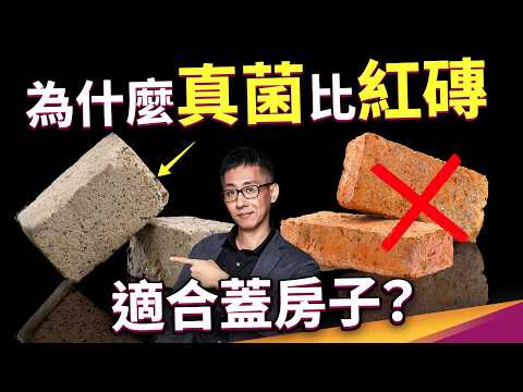 熱？你的「房子」可能蓋錯了！磚頭改用真菌種？磁磚可以幫建築降溫？七種真正能幫你降溫的建築工法 ft.冠軍磁磚 