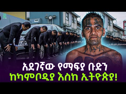 አደገኛው የማፍያ ቡድን | ከካምቦዲያ እስክ ኢትዮጵያ Salon Terek