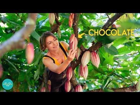 You’ll Never Look at Chocolate the Same After This