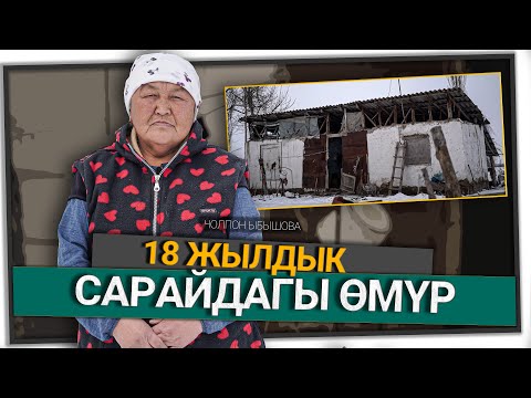 "Жетим жерден терип жейт деген чын экен" дейт Чолпон Ыбышова