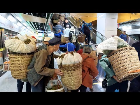 China's Subway Farmers: Feeding a City from 4 AM