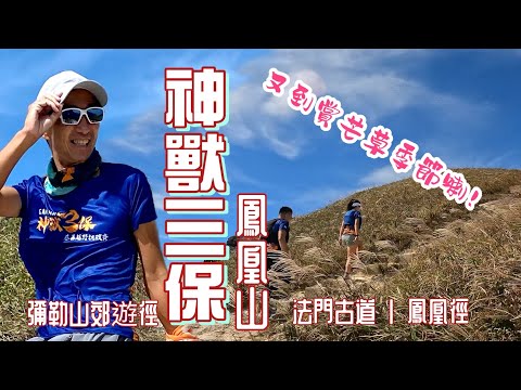 神獸三保⛰️鳳凰保[香港行山郊遊好去處] 4K拍攝｜又到芒草季節 一邊試路一邊藍天白雲賞芒草｜鳳凰徑上鳳凰山 環走彌勒郊遊徑 法門古道落東涌｜GAMAHK 神獸三保慈善越野挑戰賽｜大嶼山行山郊遊路線