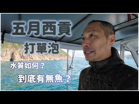 《陸上人的水上生活》 #48  五月西貢 打單泡  水質如何？ 到底有無魚？