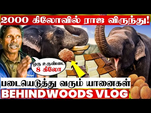 🐘யானைக்கு பசி வந்தா இங்கதான் படையெடுத்து வருமா!😯 கும்கி யானைகளின் பிரமாண்ட உணவகம்🐘