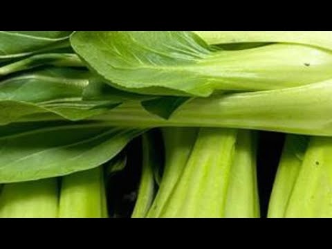 炒青菜千万不要直接下锅炒，教你饭店不外传技巧，清脆爽口又下饭 炒青菜千万不要直接下锅炒，教你饭店不外传技巧，清脆爽口又下饭#美食教程 #美食 #日常做饭 #不是厨子的厨子 #素食