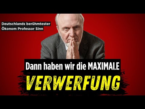Professor Sinn: In wenigen Jahren ist unser System am Ende / Das muss Bundesregierung sofort ändern